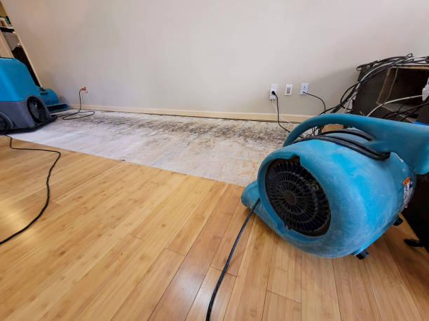 Professional Basement Flood Cleanup technician working in Hamill, SD
